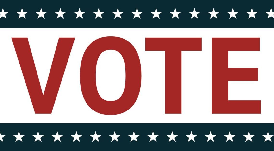 us-members:-plan-to-vote-in-your-local-elections